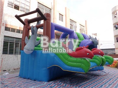 Hot Selling Ocean Big Water Slides For Pools China BY-WS-092